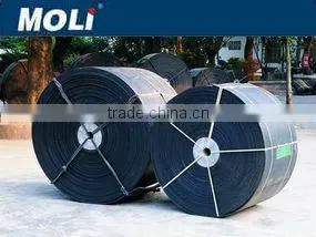 Plastic Conveyor Belt/polyester Conveyor Belt