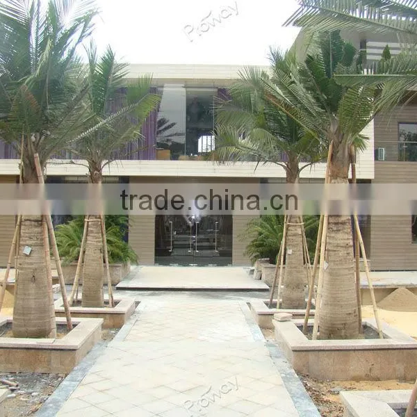 Wpc Decking ,wpc ,wood and Plastic Composite