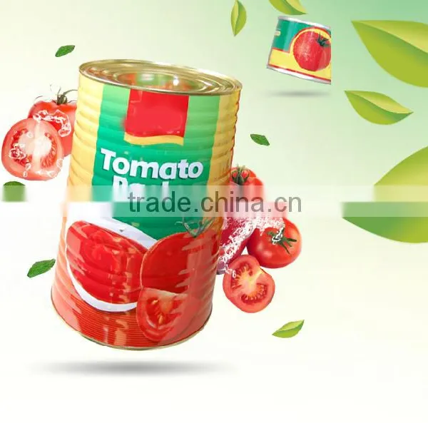 OEM ODM Cheap Ketchup Export Africa 210g 400g 800g 2.2kg Tomato Paste Canned Tomato Sauce photo-4