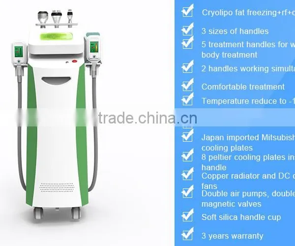 Criolipolise Freezing Fat Cryolipolisis Body Slimming Machine Freezing Fat Cell Slimming Machine photo-4