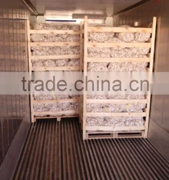 Wholesale Garlic Pure White Garlic 4.5cm-5cm photo-2