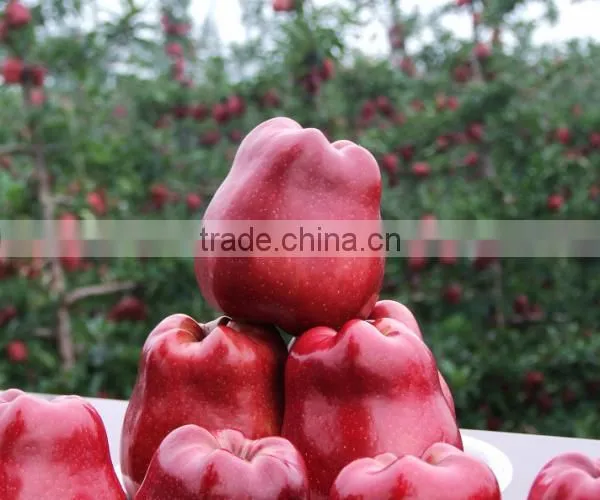 56# Huaniu Apple