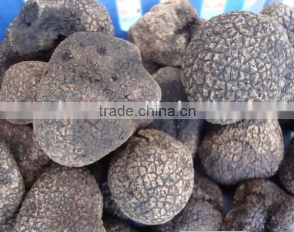 Frozen Black Truffle Grade A photo-3