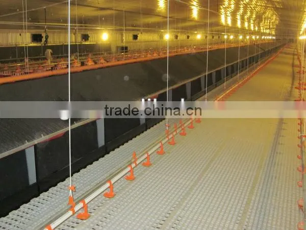 Prefabricated Steel Structure Poultry House