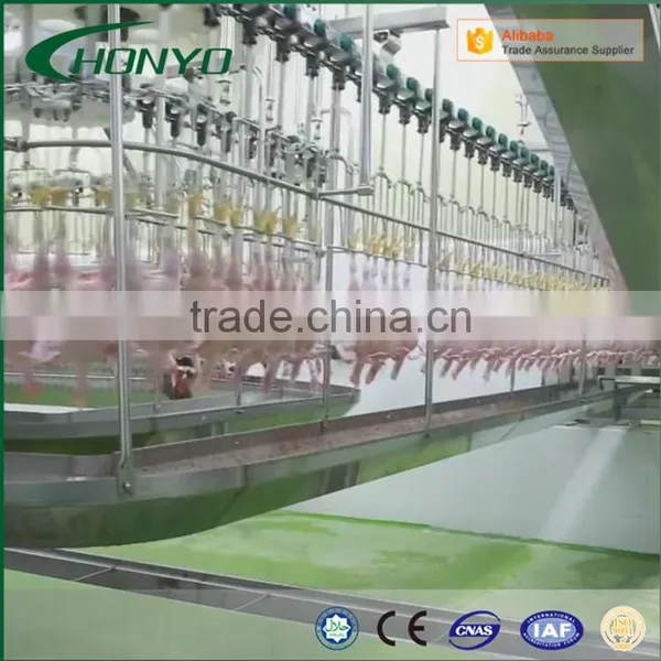 Chicken Processing Plant Machine Chicken Slaughter Machine Slaughering Equipment for Chicken photo-4