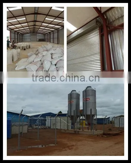 modern & economic light steel structure chicken shed