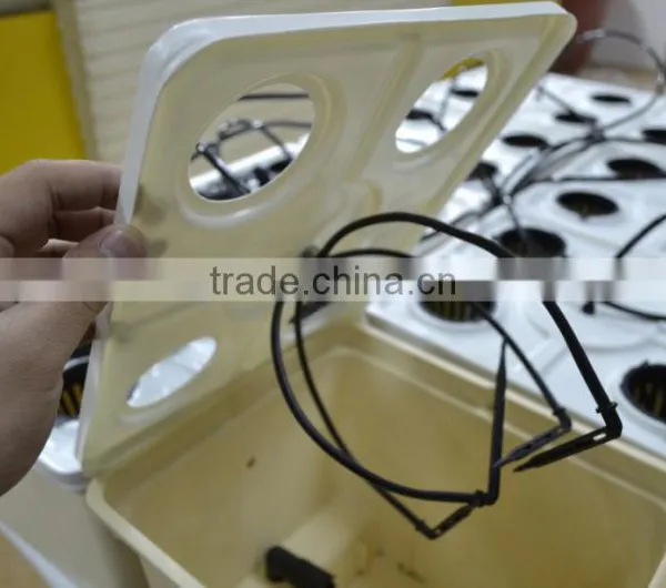 Dutch Bucket System photo-4