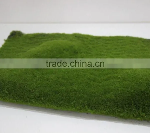 Artificial Moss Grass Wall for Decoration Real Artificial Moss Mat photo-2
