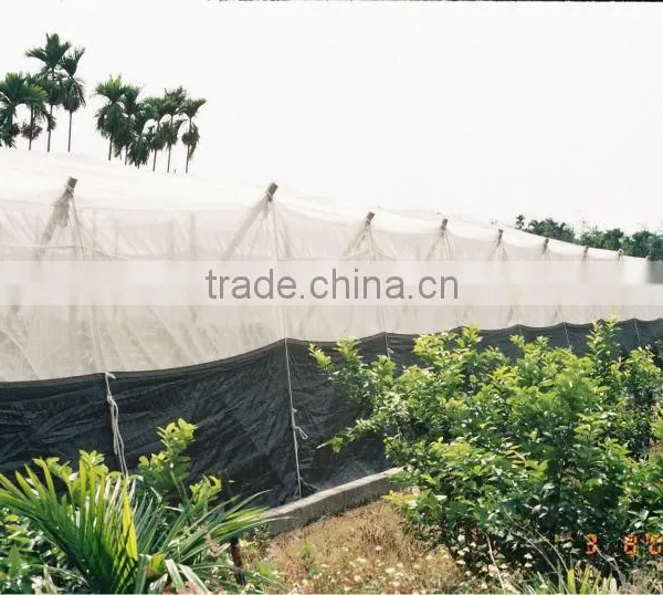 NET HOUSE photo-3