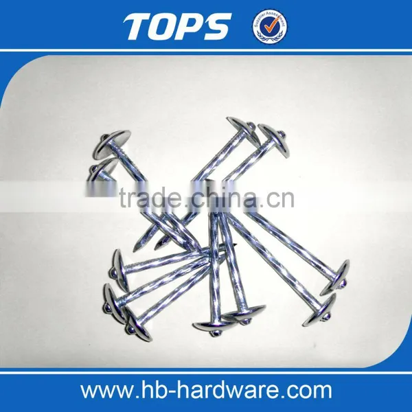 China Umbrella Head Roofing Nails photo-4