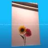 PS Mirror Sheet