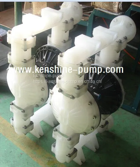 DBY Electric Diaphragm Pump photo-4