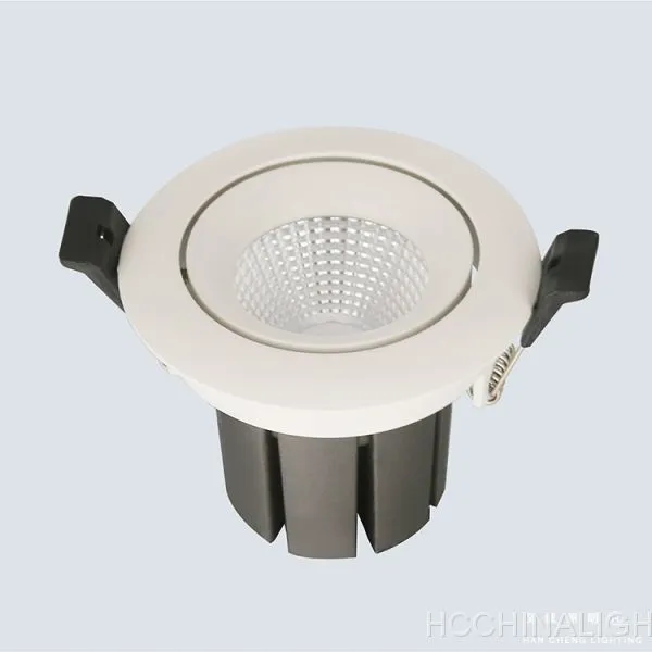 Ceiling Light