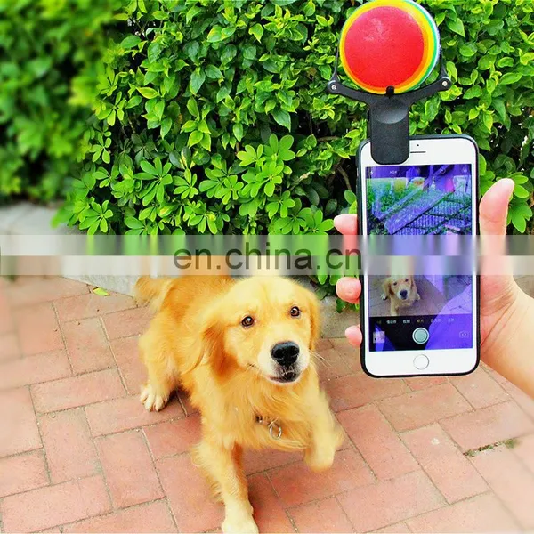 New Design Dog Cat Pet Selfie Stick Rod Dog Cat Take Photos Training Toy Flower Phone Clip Selfie Clip photo-5