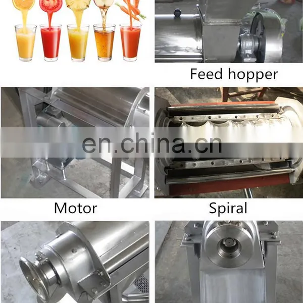 Automatic Fruit Juice Making Machine High Quality Cold Press Pineapple Juicer Extractor Machine photo-2