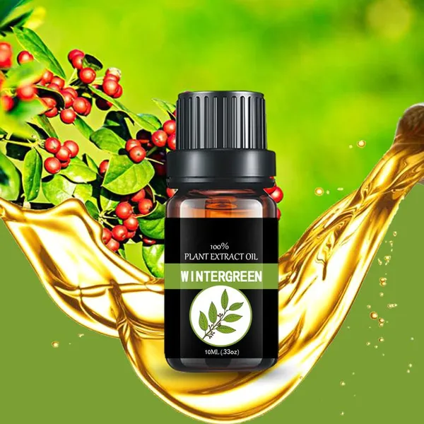 Wintergreen Oil Holly Oil Aromatherapy Essential Oil photo-2