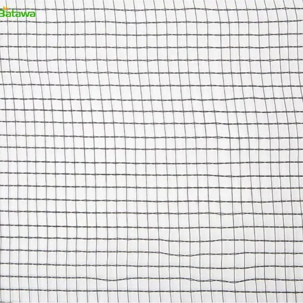 Orchard Anti Hail Netting photo-3