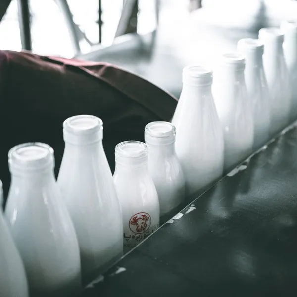 Microcrystalline Cellulose CAS 9004-34-6 Best Quality photo-2