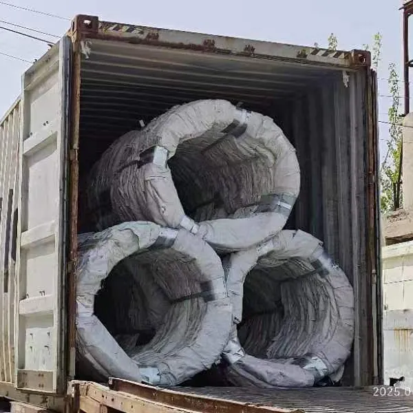 Galvanized PVC Stainless Steel Concertina Razor Blade Barbed Wire Bto-22 Bto-60 Cbt-65 Fencing Wire Price photo-2