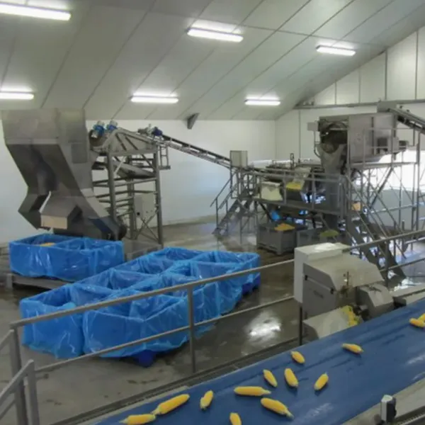 Shanghai Sweet Corn Processing Plant Canned Corn Production Line Sweet Corn Processing Production Line photo-5