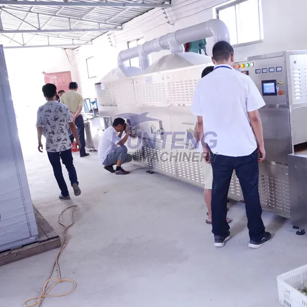 Microwave Sterilization Dryer For Flour Bread Crumbs Tea Glutinous Rice Flour EPC photo-3