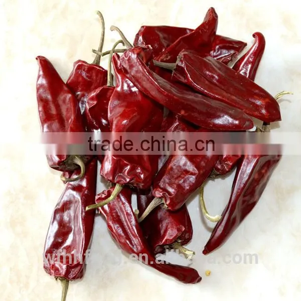 Red Dry Chili photo-3
