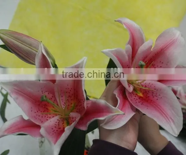 Colorful Best Selling High Quality Flowers Liliess photo-4