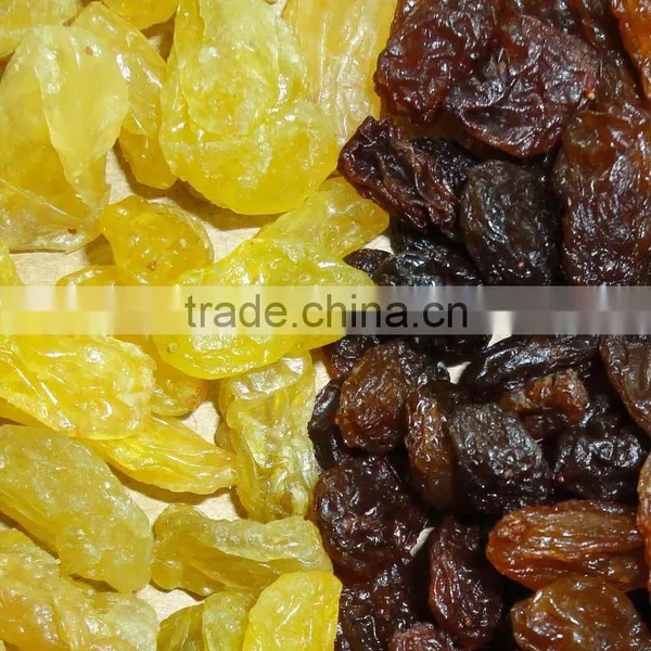 Golden Raisin Yellow Raisin Green Raisin photo-4