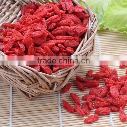 Manufacturer Wholesales Chinese Wolfberry Extract photo-3