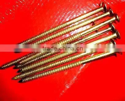 Ethiopia Market Good Quanlity Galvanized Twisted Nails photo-3