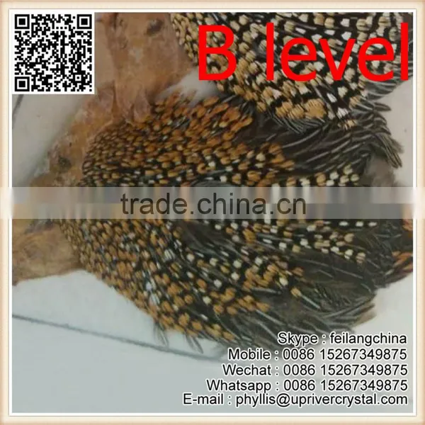 Party Headdress Clothes Decoration Jungle Cock Quality Choice photo-3