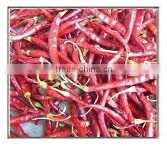Export Dried Red Chilli