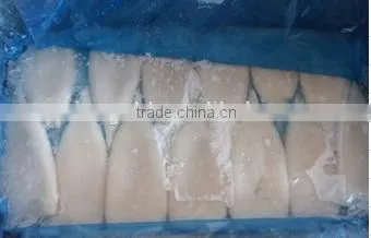 Whole Frozen Squid Tube U5,U7,U10-U20 photo-4