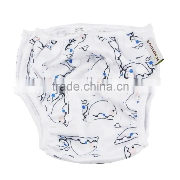 Hi-Sprout Customized Reusable Swimming Pant photo-2
