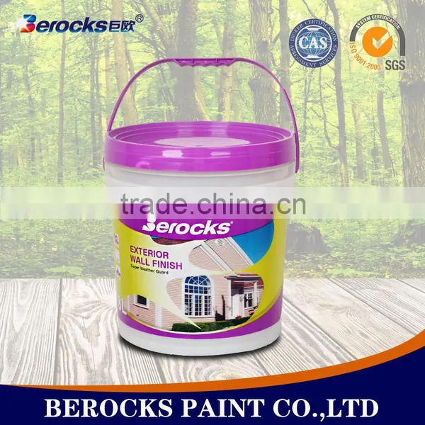Exterior Wall Paint photo-5