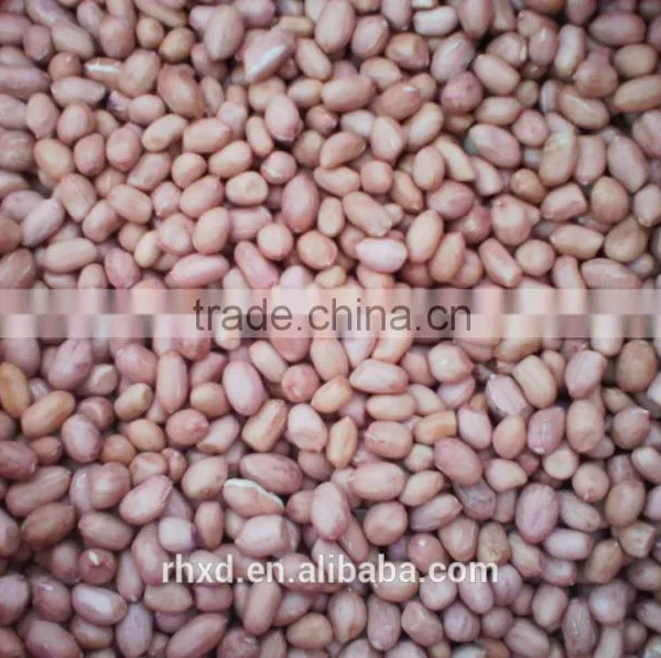 Bulk Peanut Kernel photo-3