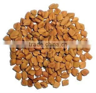 Fenugreek Seed photo-2