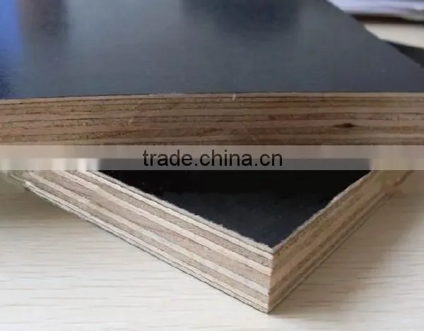Factory-directly Sales Film Faced Plywood Commercial Plywood photo-4