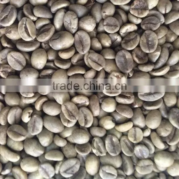 HIGH QUALITY ROBUSTA COFFEE BEANS photo-4