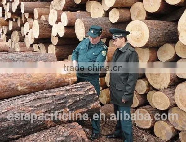 HARDWOOD / LARCH WOOD LOGS TIMBER RUSSIAN ORIGIN