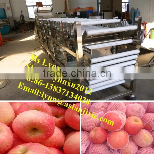 Potato Sorter/industrial Fruit Potato Sorting Machine photo-2