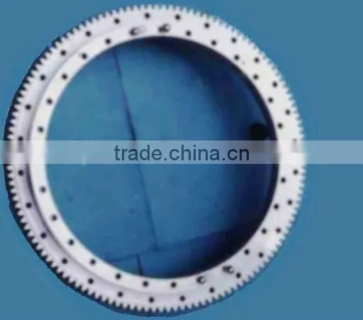 Slewing Bearing