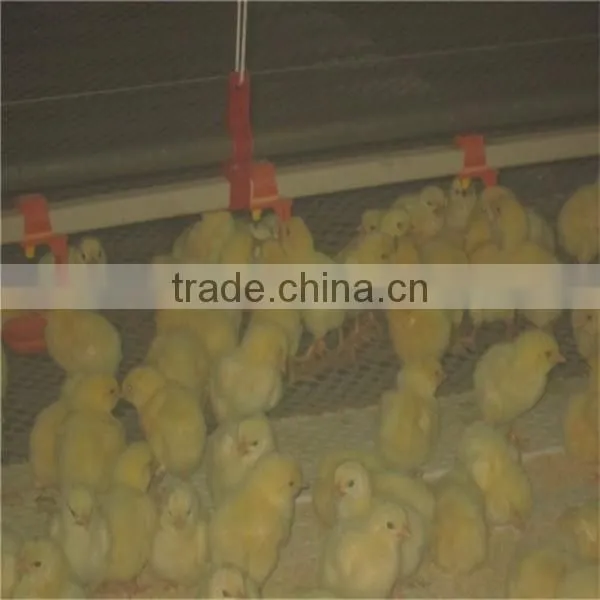 Chicken Automatic Drinker photo-4