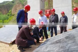 High fluidity hardening accelerator polycarboxylates high performance water-reducing admixture