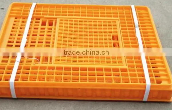 Poultry Equipment photo-5