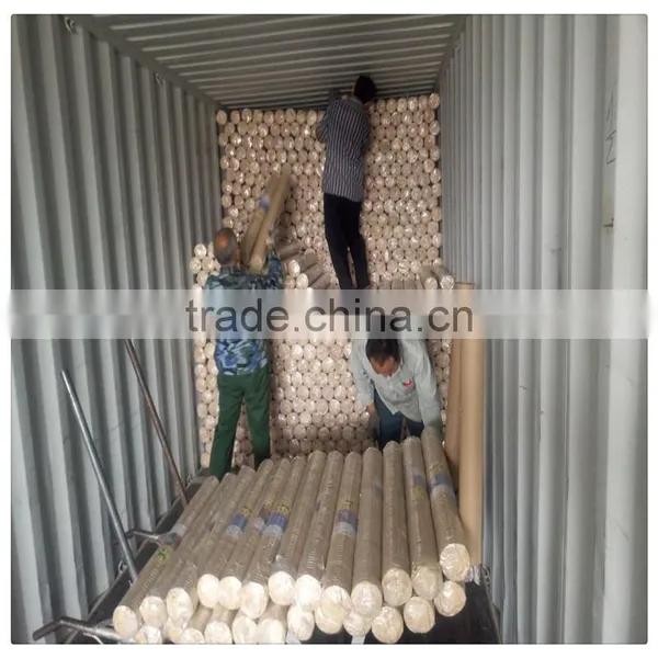 Stainless Steel Welded Wire Mesh / Galvanized Welded Wire Mesh for Sale photo-3