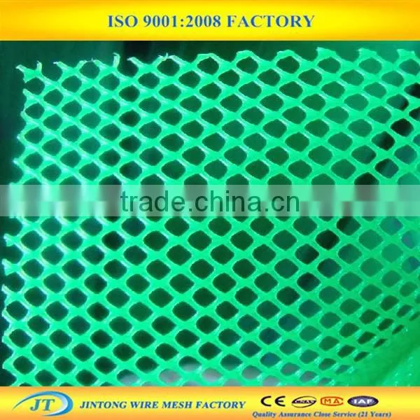 Factory Supply Plastic Wire Mesh, Black/ Green /white Plastic Mesh photo-5