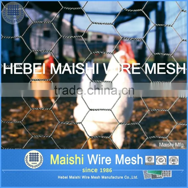 (E)Hexagonal Wire Mesh Netting photo-5