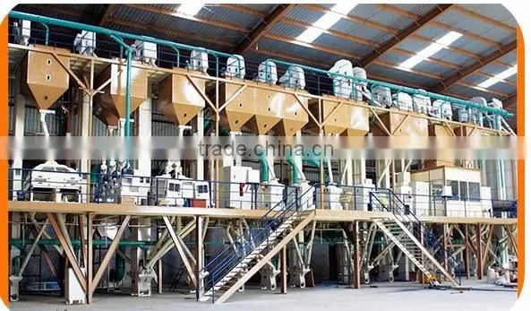 Roller Mill Set Rice Flour Production Machinery Roller Milling Machine CE Approved Rice Mill Machinery photo-5