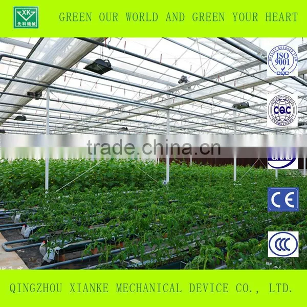 Big Cheep Glass Greenhouse for Seeding photo-5